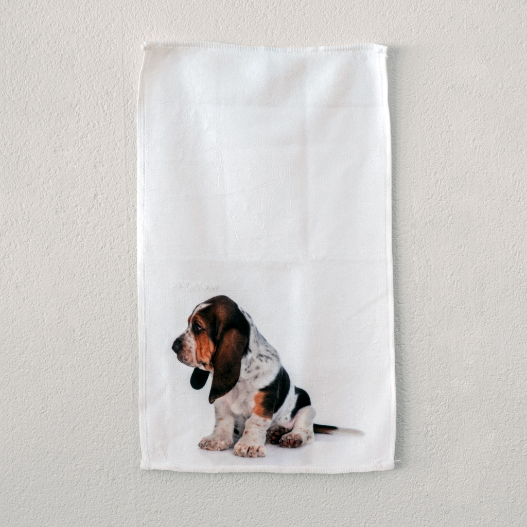 Gastendoekje - Basset Pup-image